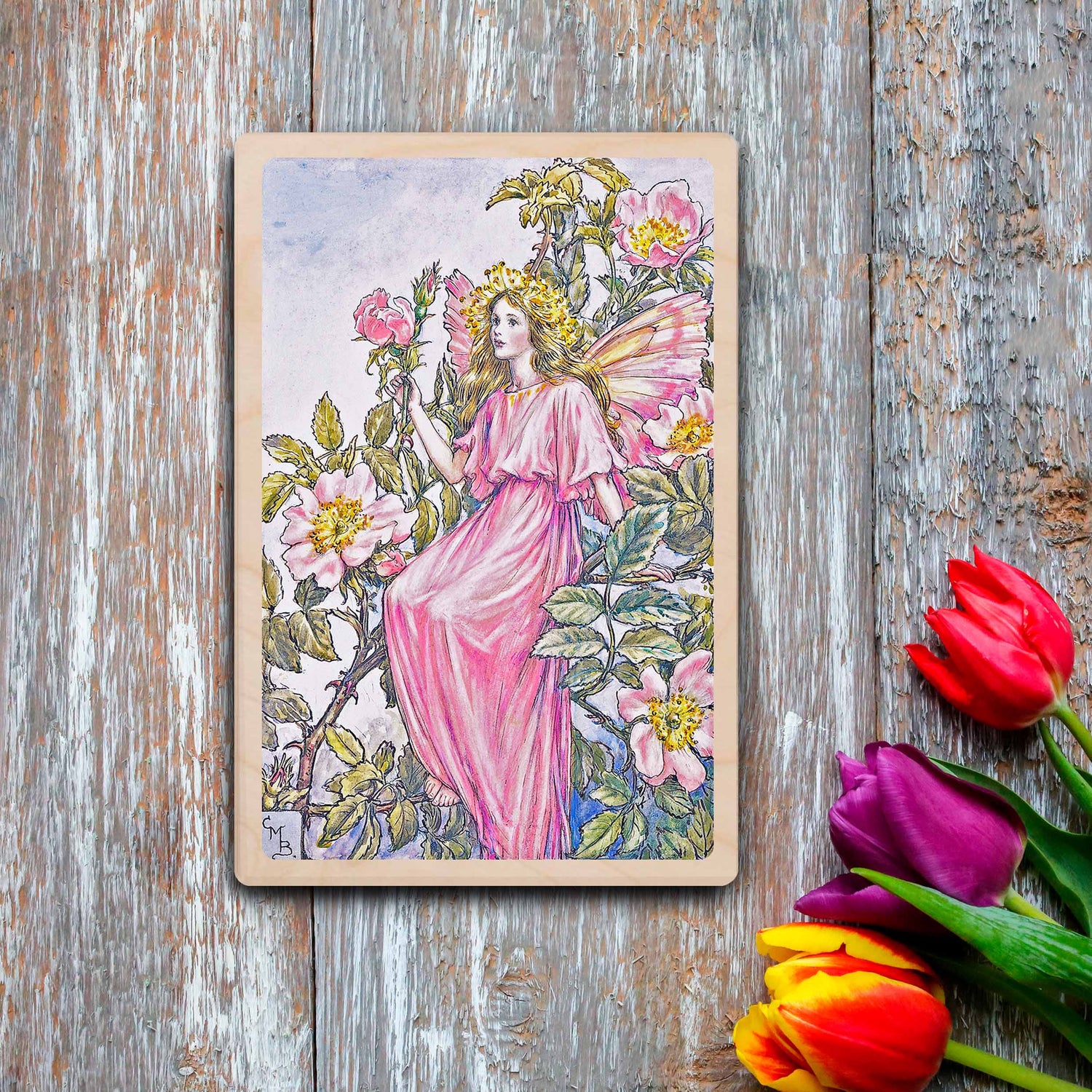 SUMMER FLOWER FAIRIES